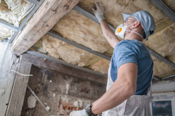 Best Insulation Installation Services in Oberlin, OH