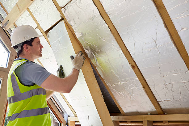 Best Insulation Maintenance and Repair in Oberlin, OH